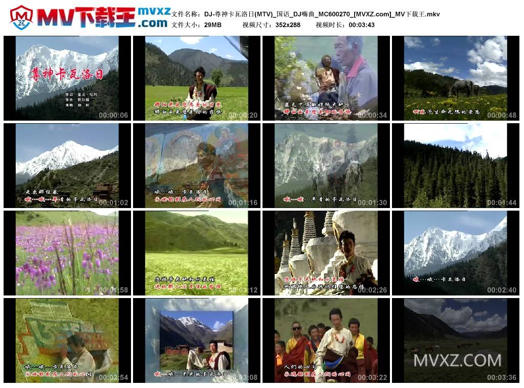 DJ-尊神卡瓦洛日(MTV)_国语_DJ嗨曲_MC600270